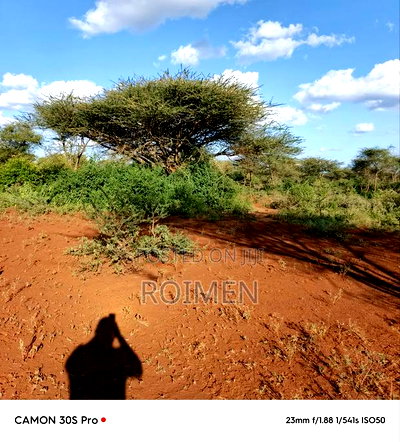 13 Ekali Entarara Kwa 500,000 Kila Eka - Image 4