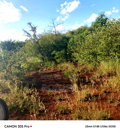 13 Ekali Entarara Kwa 500,000 Kila Eka - Image 10