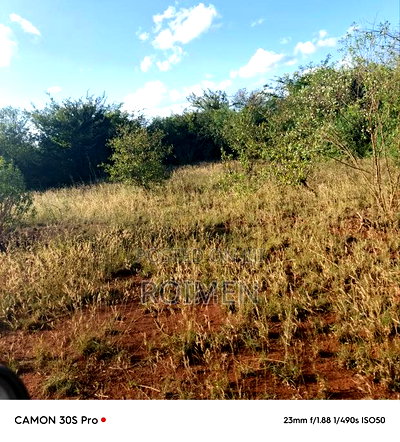 13 Ekali Entarara Kwa 500,000 Kila Eka - Image 11