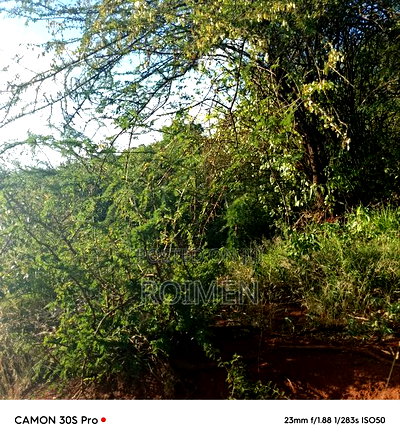 13 Ekali Entarara Kwa 500,000 Kila Eka - Image 9