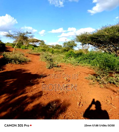 13 Ekali Entarara Kwa 500,000 Kila Eka - Image 1