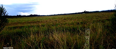 106-Acre Garden Land with Borehole