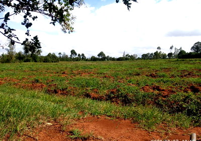6.5 Acres at KSh 2M per Acre