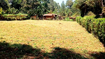 1/8 Acre in Kakamega Irumbi - Image 3