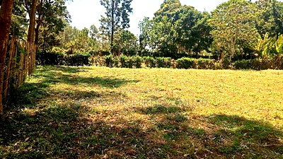 1/8 Acre in Kakamega Irumbi - Image 1