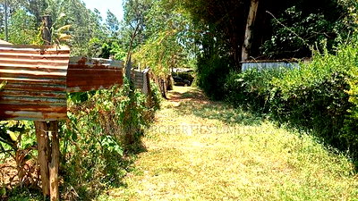 1/8 Acre in Kakamega Irumbi - Image 5