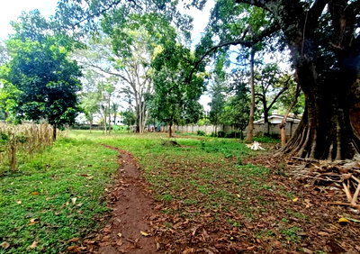 1-Acre Runda Land at KSh 210M