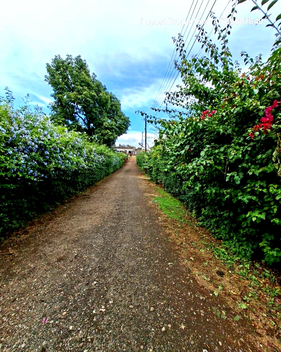 Quarter Acre Plot in Kiambu