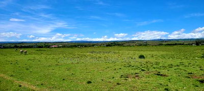 Prime Plots Lake View Phase 6, 40 by 100 - Image 4