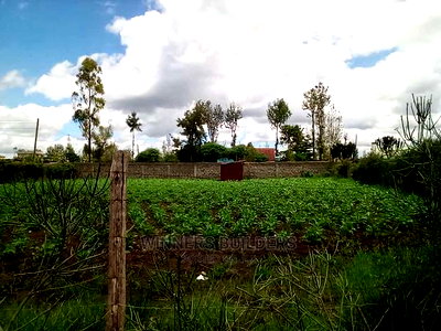 100*100 Plot for Sale Ruai - Image 1