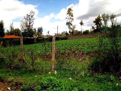 100*100 Plot for Sale Ruai - Image 2