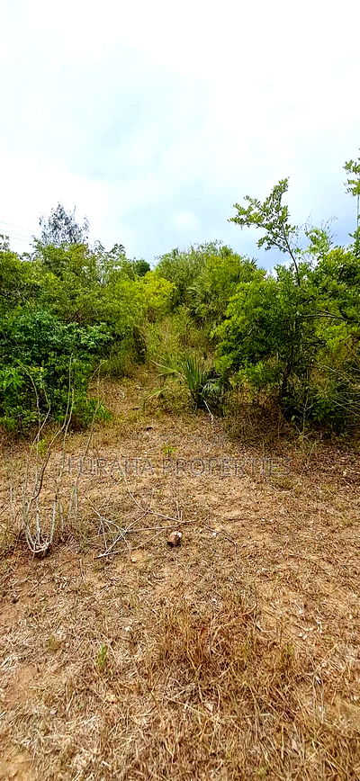 For Sale 4 Plots of Quater Acre Diani - Image 5