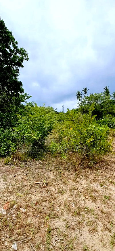 For Sale 4 Plots of Quater Acre Diani - Image 2