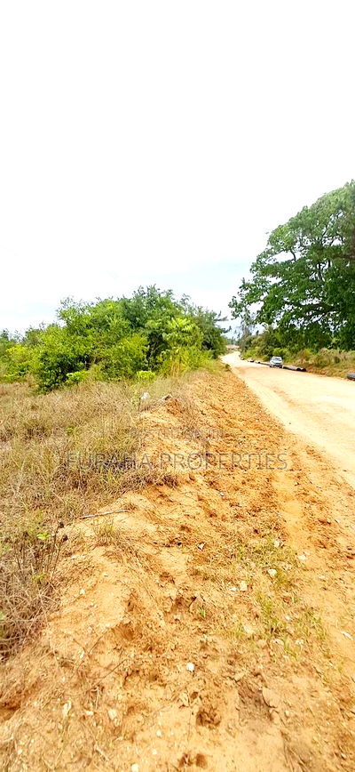 For Sale 4 Plots of Quater Acre Diani - Image 1