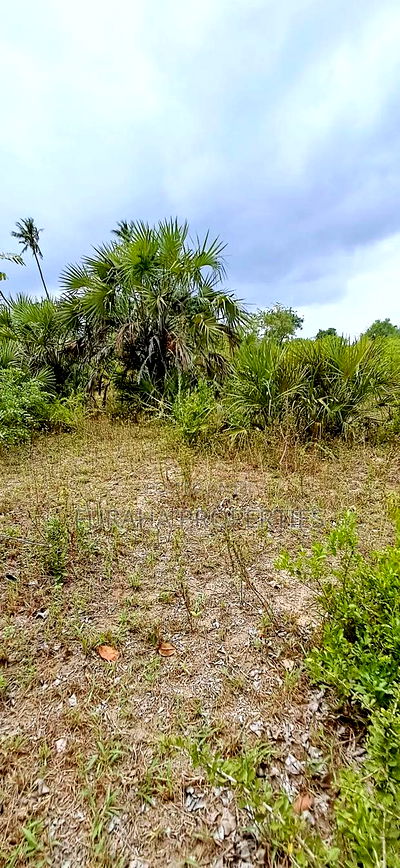 For Sale 4 Plots of Quater Acre Diani - Image 6