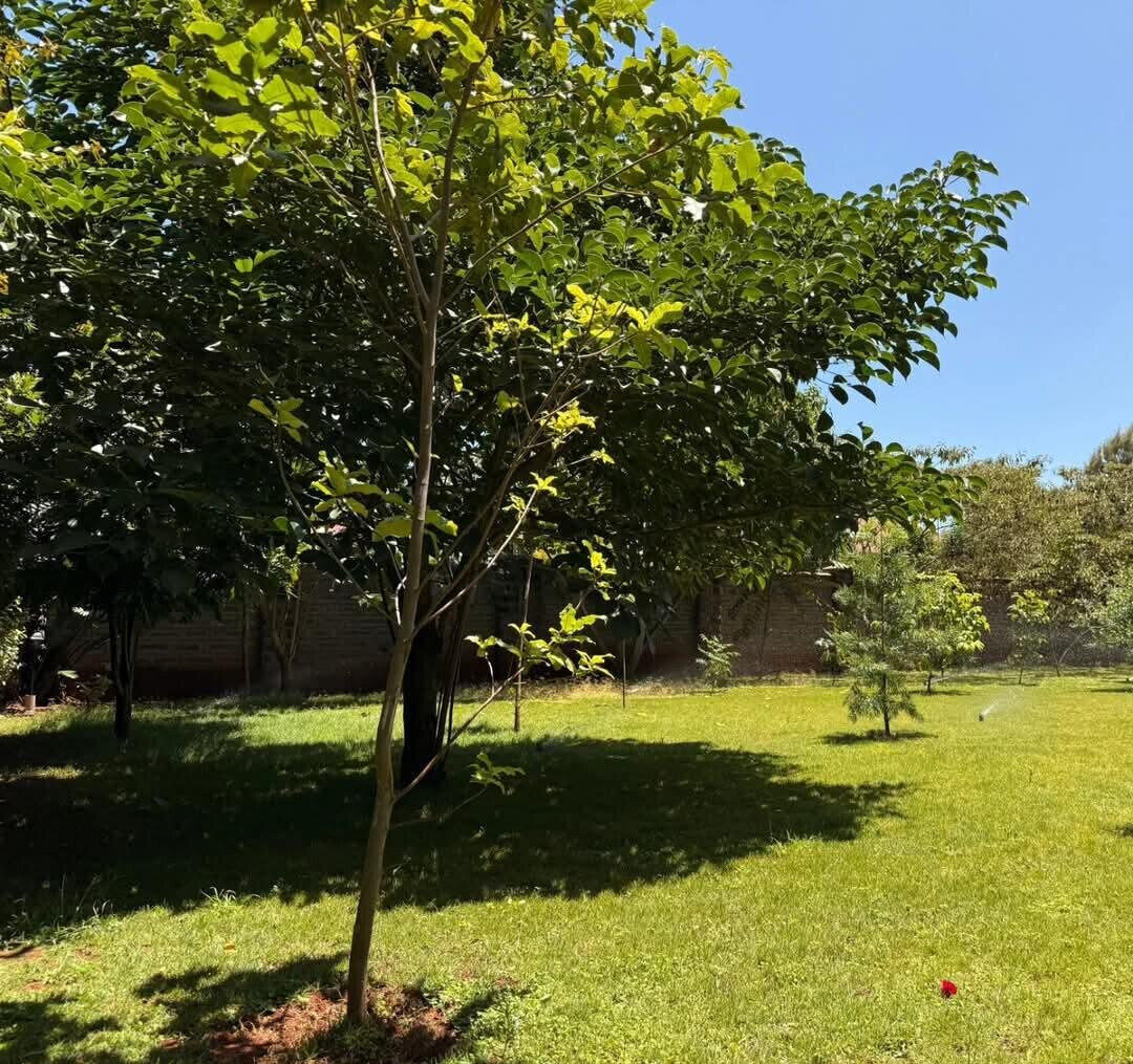 4-Ensuite Villa with Clubhouse & Gym – Karen Gated Estate