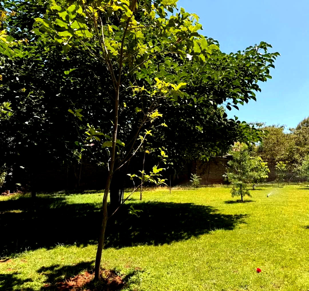 4-Ensuite Villa with Clubhouse & Gym – Karen Gated Estate