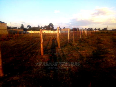 Plot for Sale - Image 4