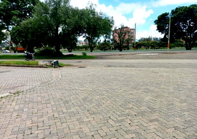 1/2 Acre Commercial Plot with Garden