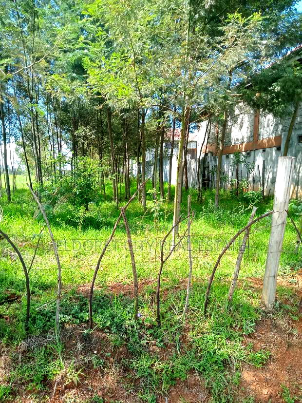 1/2 Acre Annex Ideal for Rental.