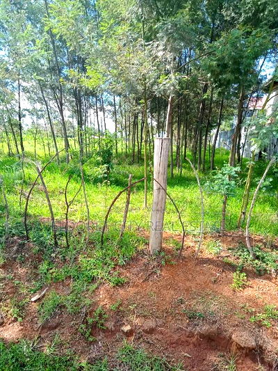 1/2 Acre Annex Ideal for Rental. - Image 2