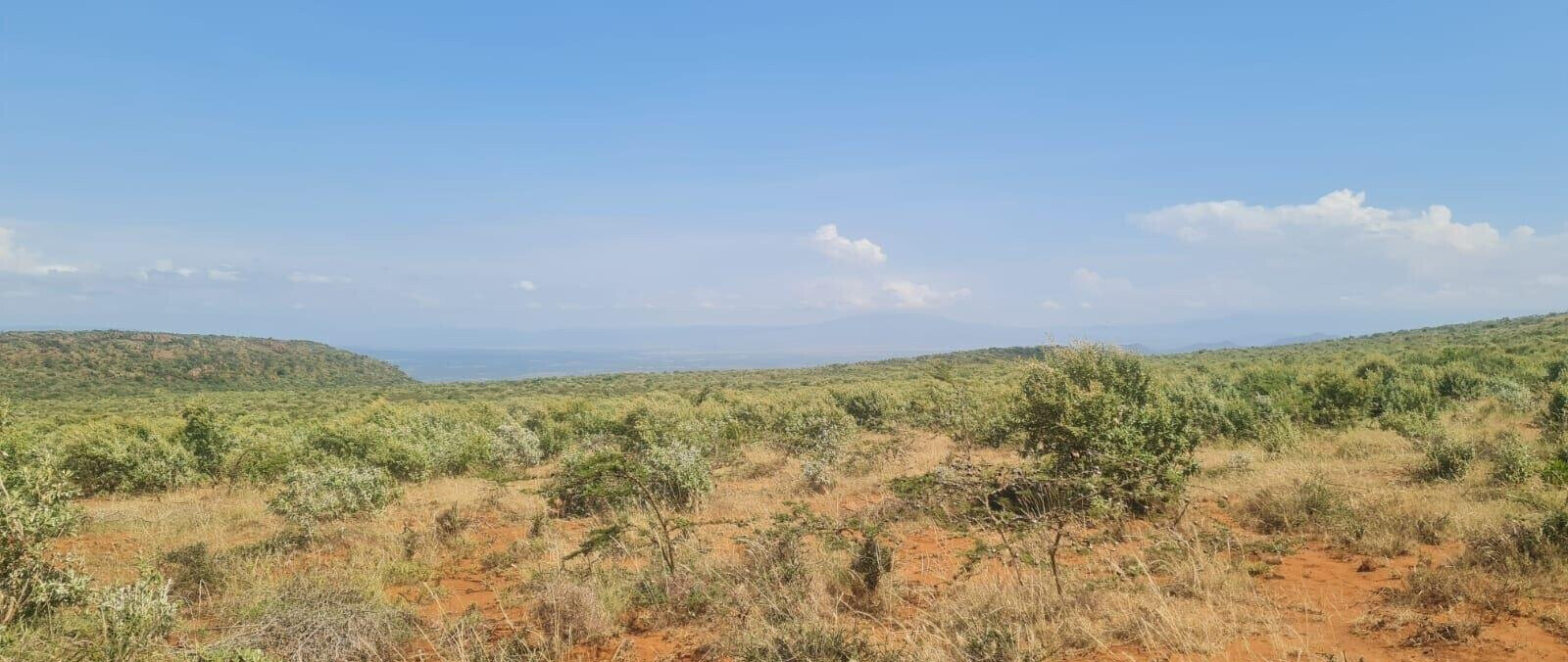 50x100 Plot in Nachu, Kiambu for KSh 12M