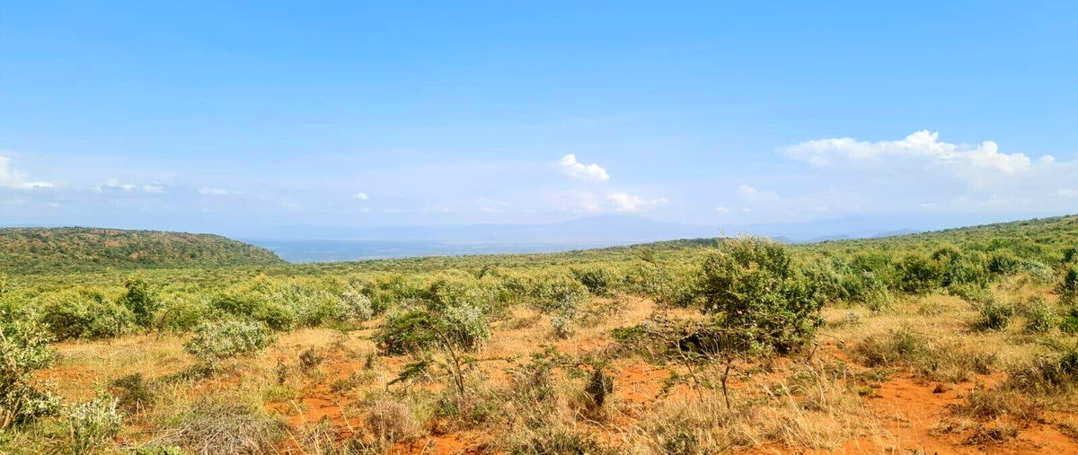 50x100 Plot in Nachu, Kiambu for KSh 12M