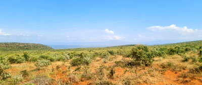 50x100 Plot in Nachu, Kiambu for KSh 12M