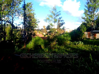 Thika Horticultural - Image 5
