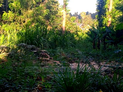 Thika Horticultural - Image 3