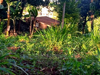 Thika Horticultural - Image 1