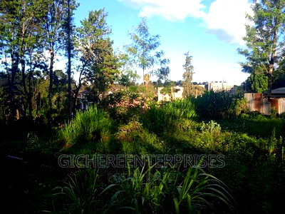Thika Horticultural - Image 6