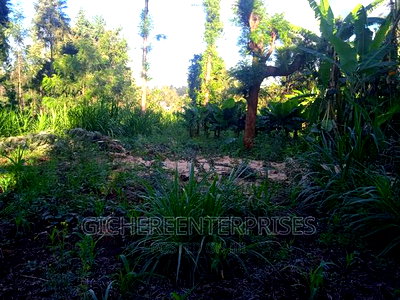 Thika Horticultural - Image 8