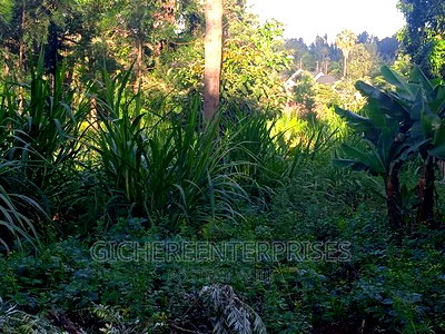 Thika Horticultural - Image 4