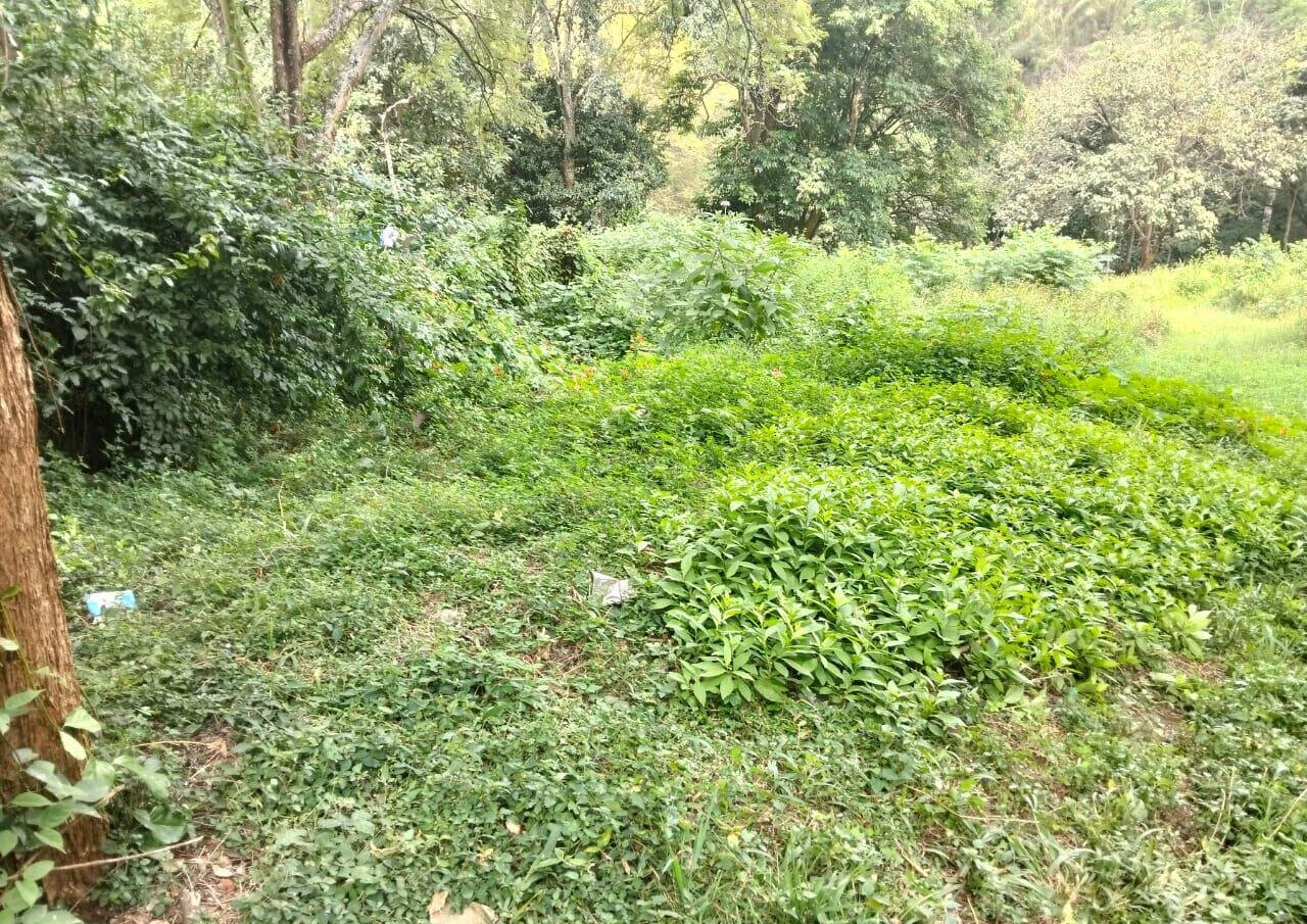 3.1-Acre Muthaiga Gem at KSh 140M