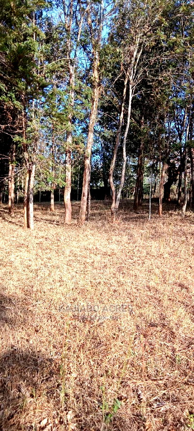 Prime 13 Acres Lukenya - Image 3