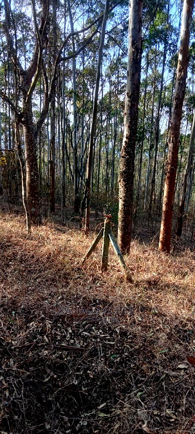 Prime 13 Acres Lukenya - Image 1