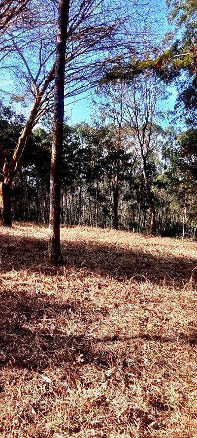 Prime 13 Acres Lukenya - Image 2