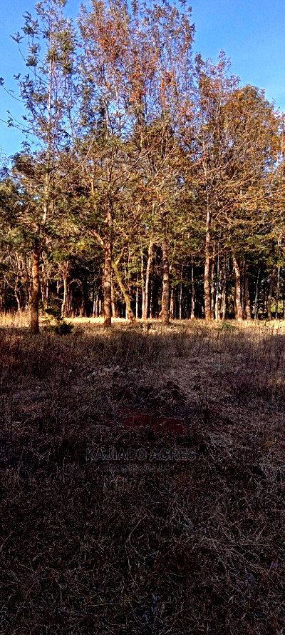 Prime 13 Acres Lukenya - Image 8