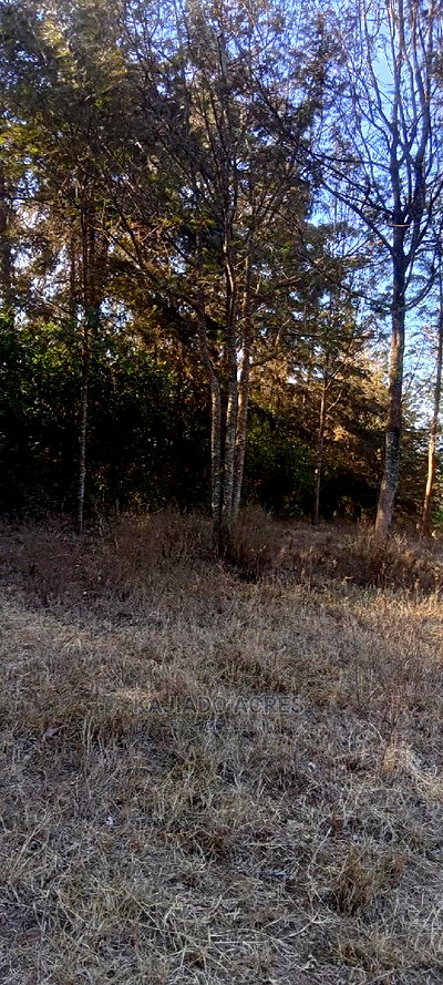 Prime 13 Acres Lukenya - Image 6