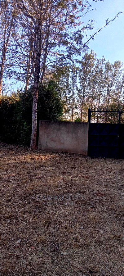 Prime 13 Acres Lukenya - Image 9