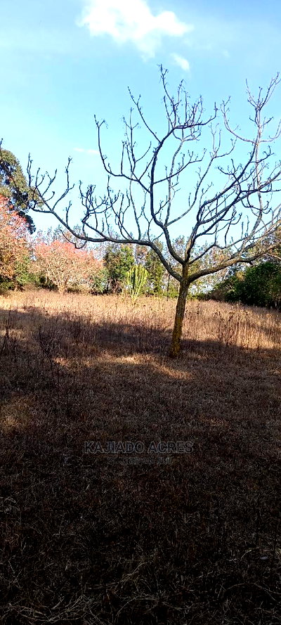 Prime 13 Acres Lukenya - Image 7