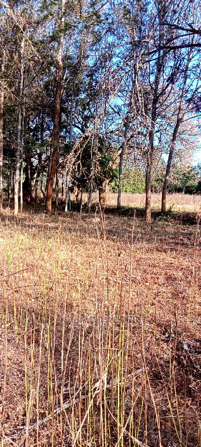 Prime 13 Acres Lukenya - Image 5