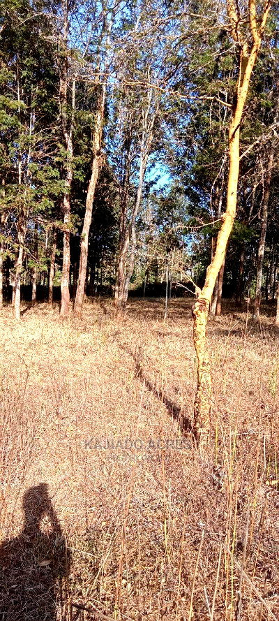 Prime 13 Acres Lukenya - Image 10