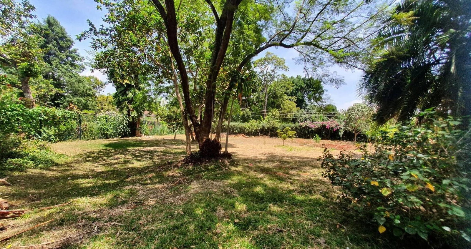 Half Acre Garden Plot at KSh 65M