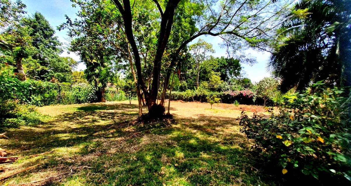 Half Acre Garden Plot at KSh 65M