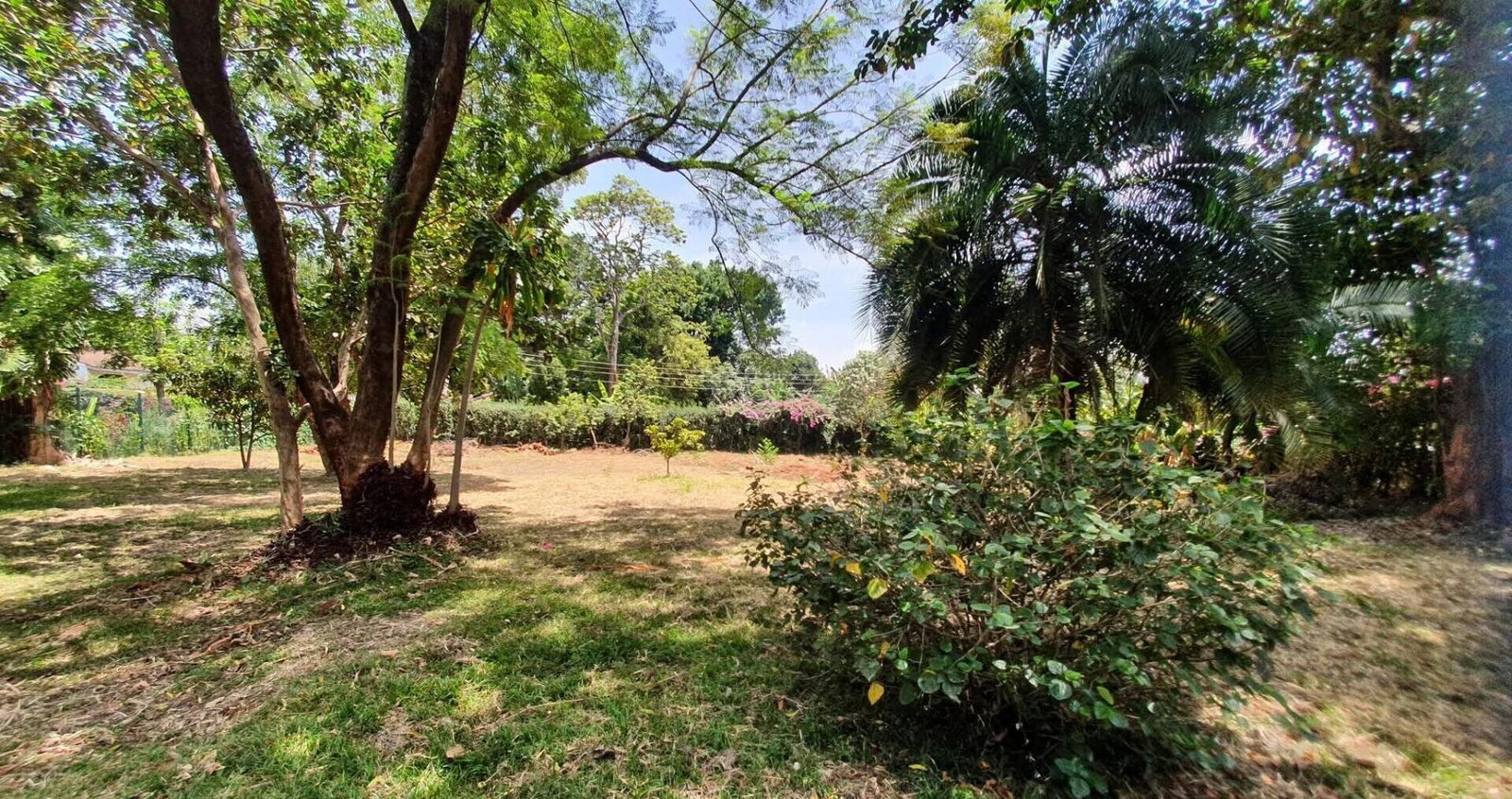 Half Acre Garden Plot at KSh 65M