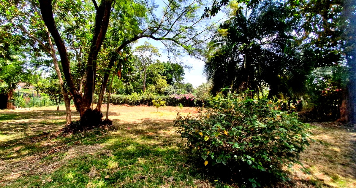 Half Acre Garden Plot at KSh 65M