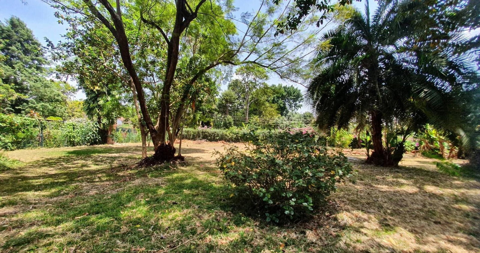 Half Acre Garden Plot at KSh 65M
