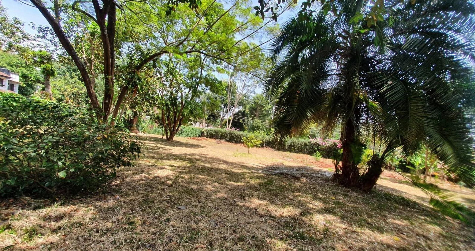 Half Acre Garden Plot at KSh 65M